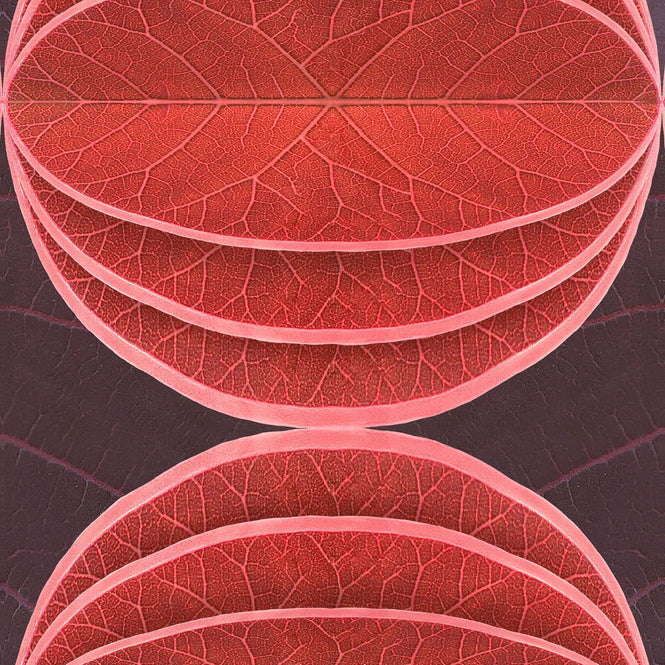NLXL HIDDEN FRUITS WALLPAPER BY SUZAN HIJINK / SUZ-07