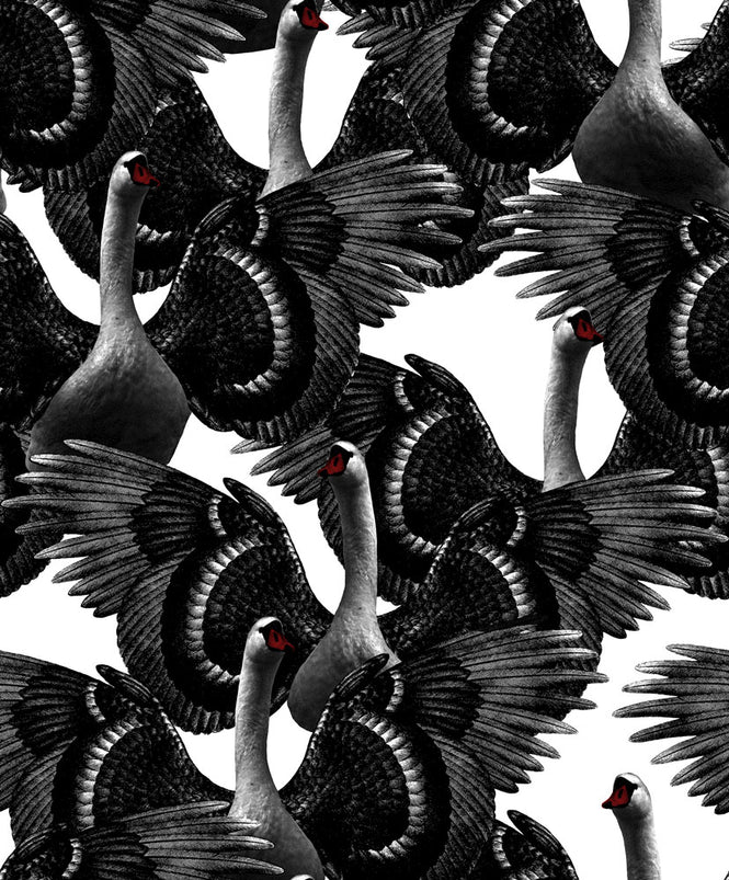 【限定数】Lisa Bengtsson / Swan Lake White / 1176