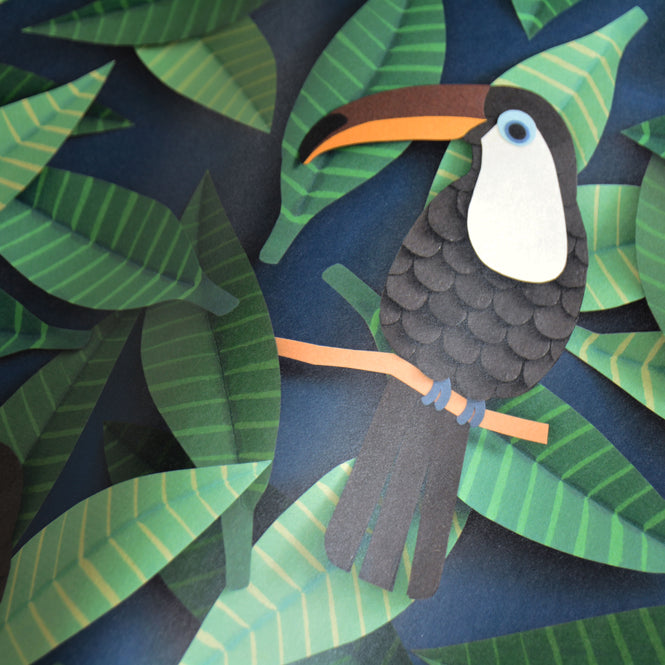 studio ditte / Toucan wallpaper【2パネル1セット】