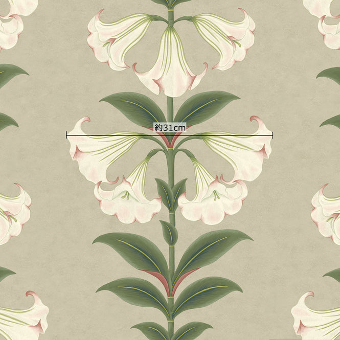 花のサイズ参照画像