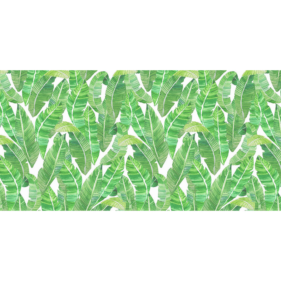 KARIOKAS / Bananeira Green Palm WallP-Bananeira