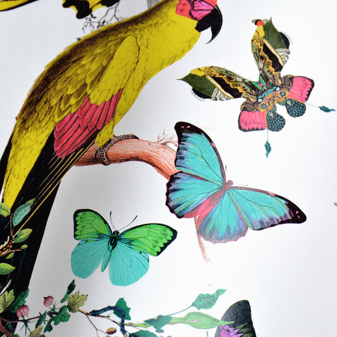 KRISTJANA S WILLIAMS STUDIO / Lear White Wallpaper WAP0009【3パネル1セット】