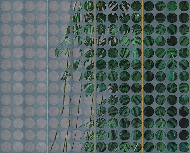 Wall&deco / CONTEMPORARY WALLPAPER COLLECTION 2020 / Altrove WDAL2002