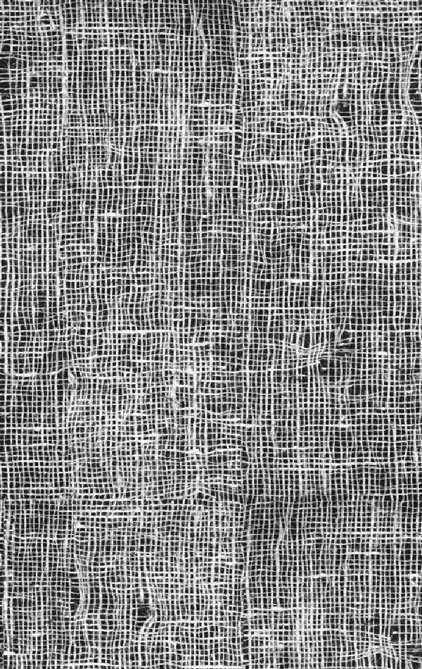 Wall&deco / Life 14 Canvas / WDCA1401