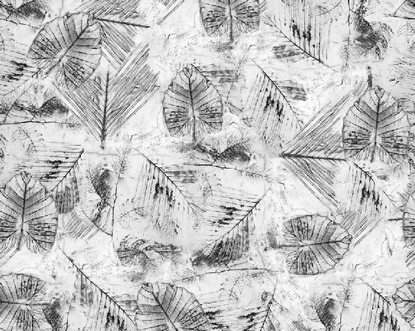 Wall&deco / Life 14 Traces / WDTR1401