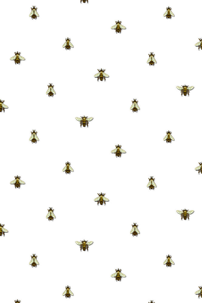 Timorous Beasties / Wild Honey Bee Spot / WHB/PRL/02