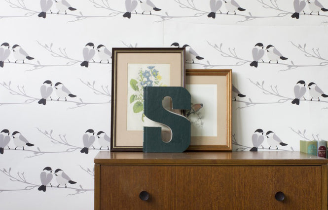 Lorna Syson / Willow Tit