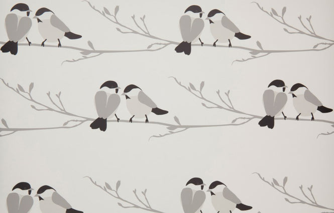 Lorna Syson / Willow Tit