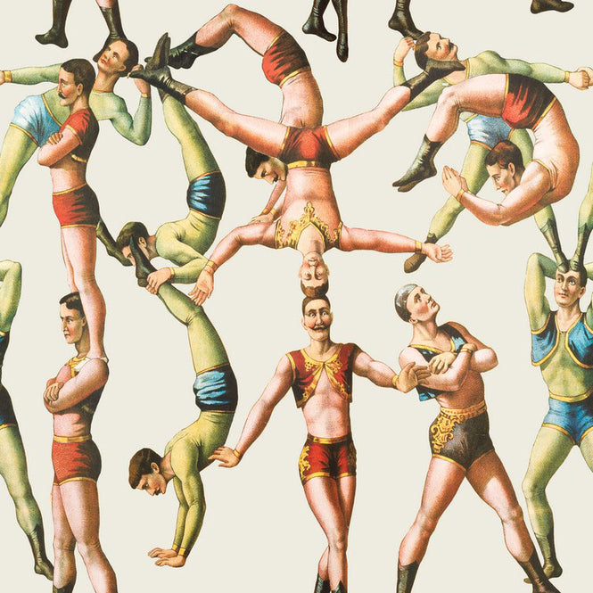 MINDTHEGAP /  THE ACROBATS Tapet WP20005