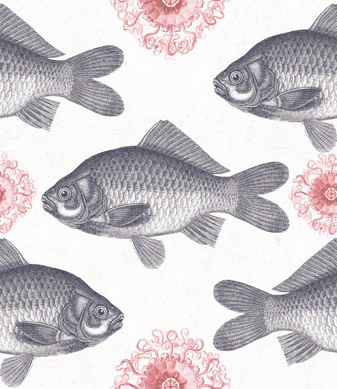 MINDTHEGAP /  FISH Neutral WP20008