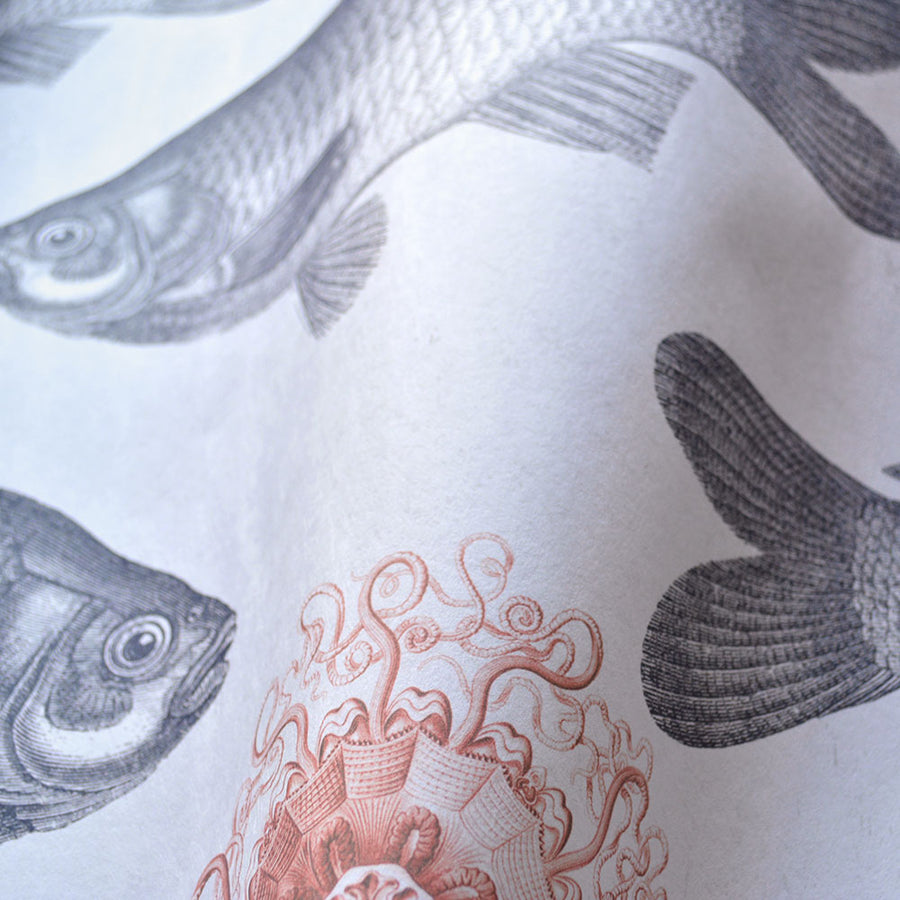 Fish Neutral MINDTHEGAP / FISH Neutral WP20008 | 輸入壁紙専門店 WALPA – WALPA.jp