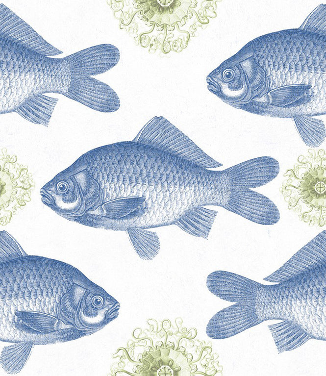 MINDTHEGAP /  FISH Blue WP20009