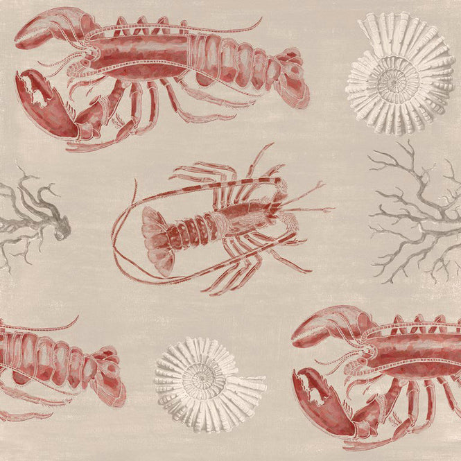 MINDTHEGAP /  LOBSTER Taupe WP20013