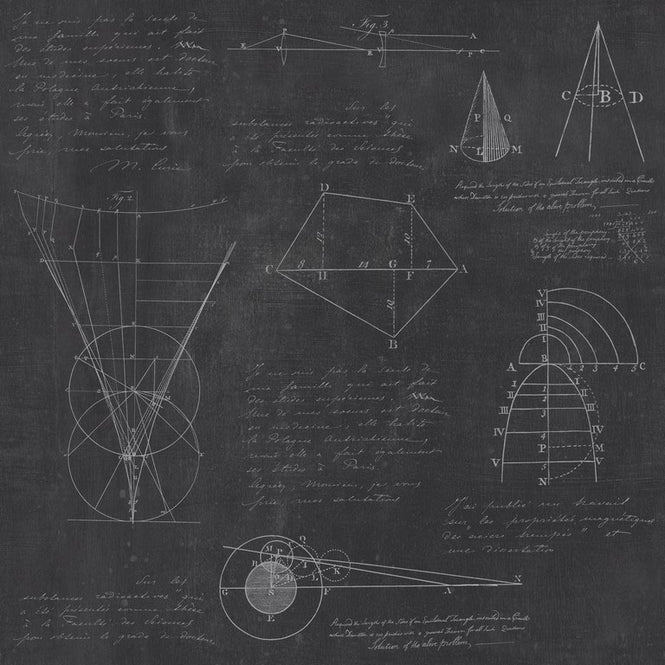 MINDTHEGAP /  NEWTON GEOMETRY WP20046