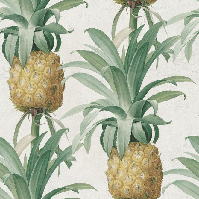 MINDTHEGAP /  ANANAS WP20090