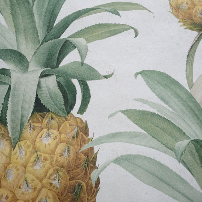 MINDTHEGAP /  ANANAS WP20090