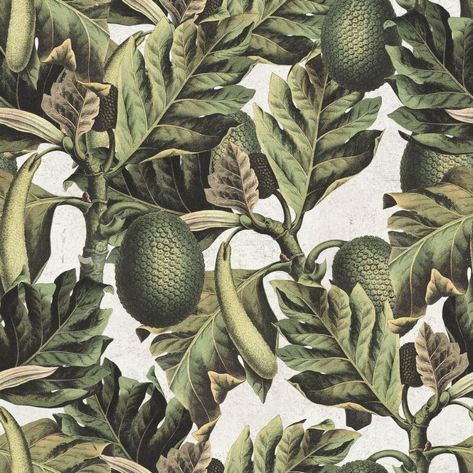 【限定数】MINDTHEGAP /  EXOTIC FRUIT I WP20097