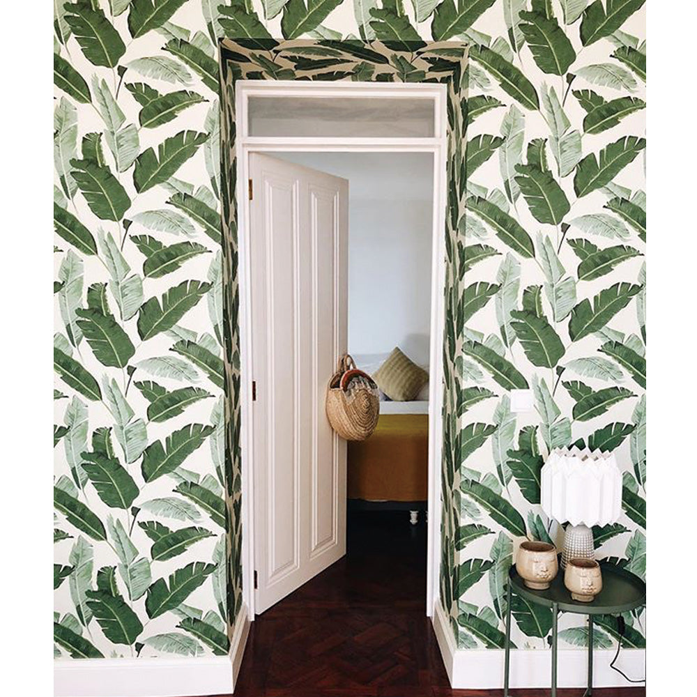 ☀モグアイページ MINDTHEGAP / BANANA LEAVES WP20111 | 輸入壁紙専門店 WALPA – WALPA.jp