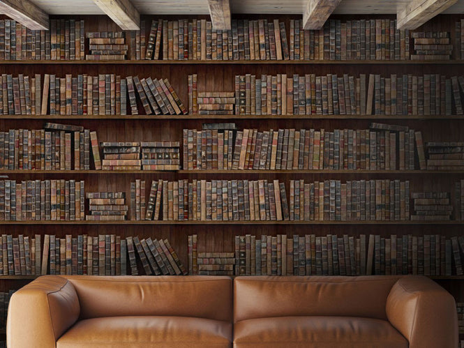 MINDTHEGAP /  BOOK SHELVES WP20112