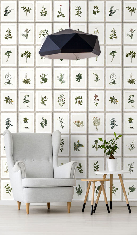 MINDTHEGAP /  BOTANY WP20153