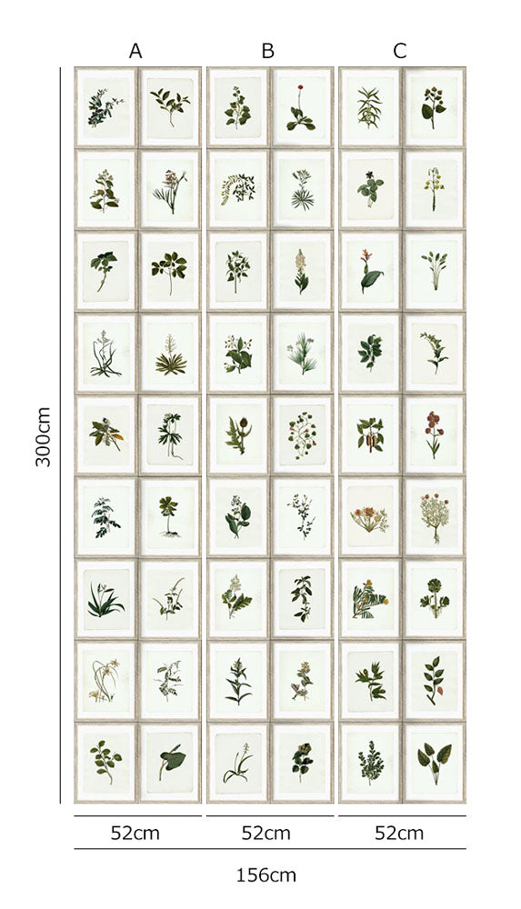 MINDTHEGAP /  BOTANY WP20153