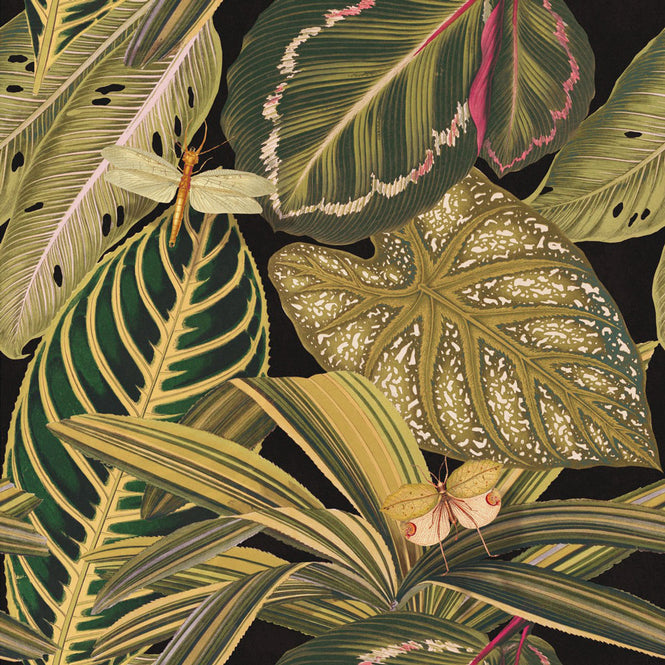 MINDTHEGAP /  AMAZONIA WP20159