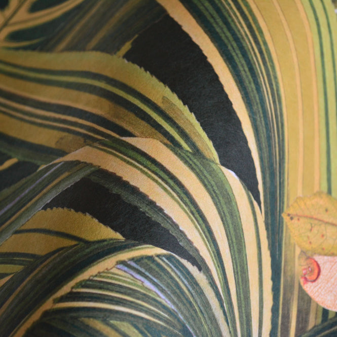 MINDTHEGAP /  AMAZONIA WP20159