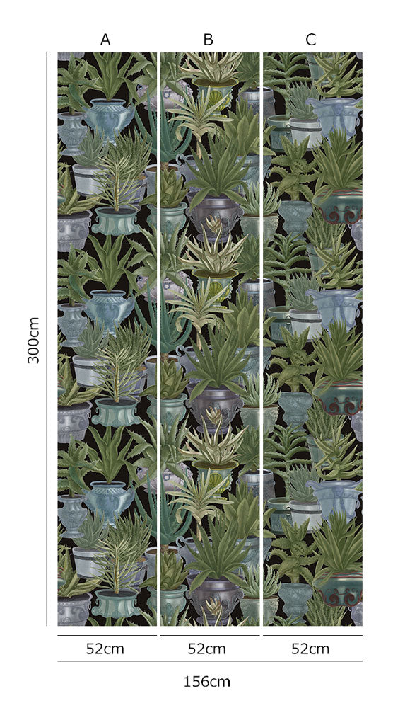 MINDTHEGAP /  ECHEVERIA WP20163