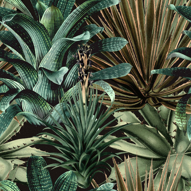 MINDTHEGAP /  LUSH SUCCULENTS WP20164