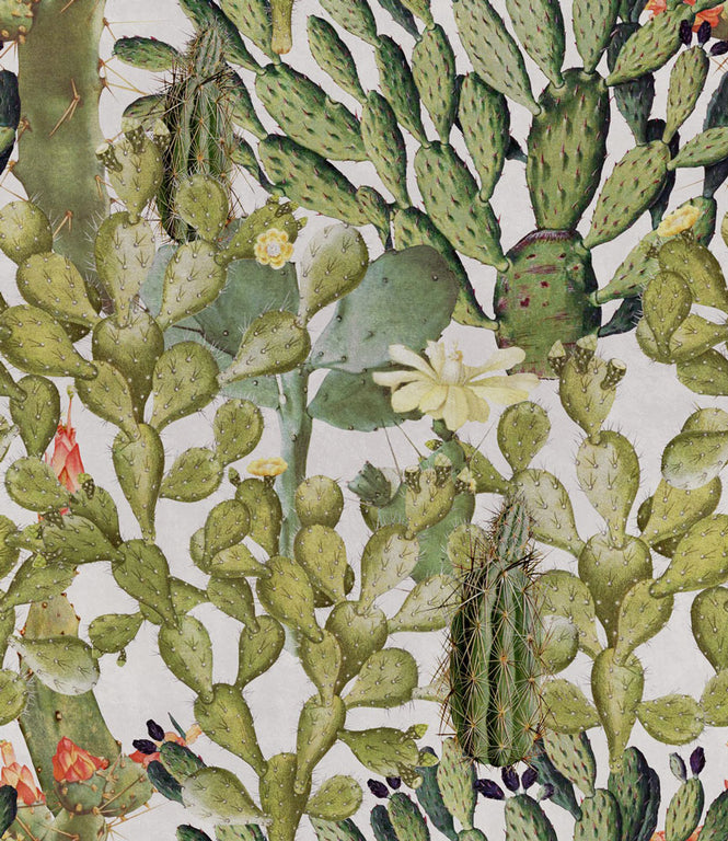 MINDTHEGAP /  OPUNTIA WP20166