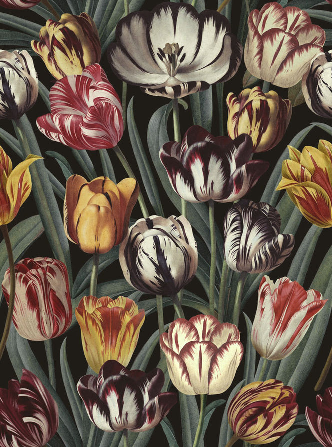 MINDTHEGAP /  TULIPA Dark WP20177