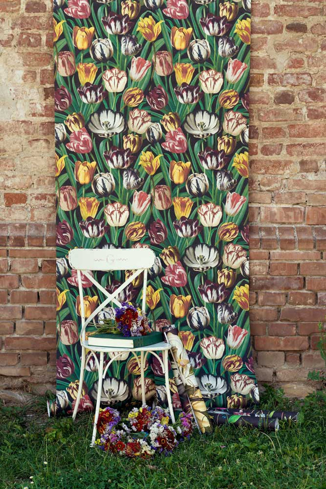 MINDTHEGAP /  TULIPA WP20178