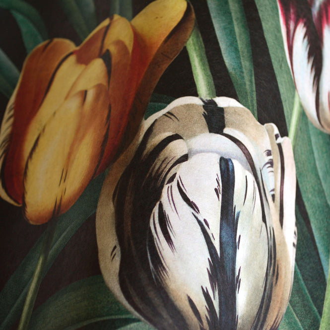 MINDTHEGAP /  TULIPA WP20178