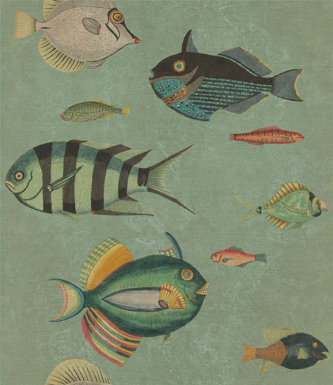 MINDTHEGAP /  POISSONS WP20181