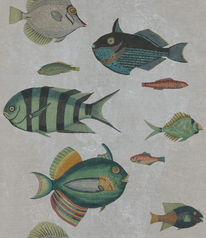 MINDTHEGAP /  POISSONS Grey WP20182