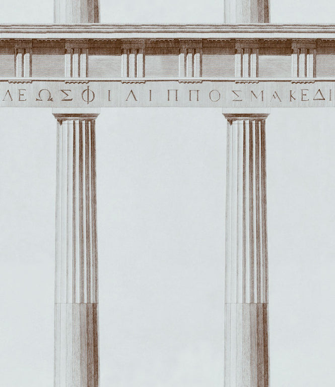 MINDTHEGAP /  ATHENA WP20211
