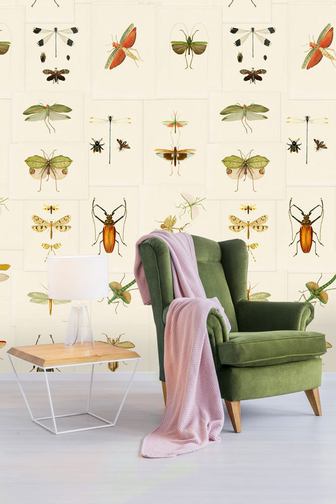 MINDTHEGAP /  ENTOMOLOGY WP20233