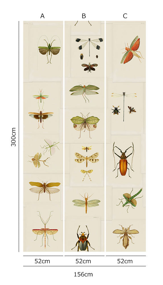 MINDTHEGAP /  ENTOMOLOGY WP20233