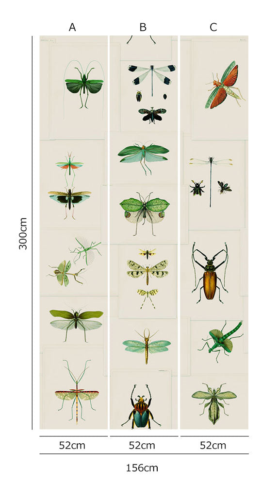 MINDTHEGAP /  ENTOMOLOGY Green WP20234