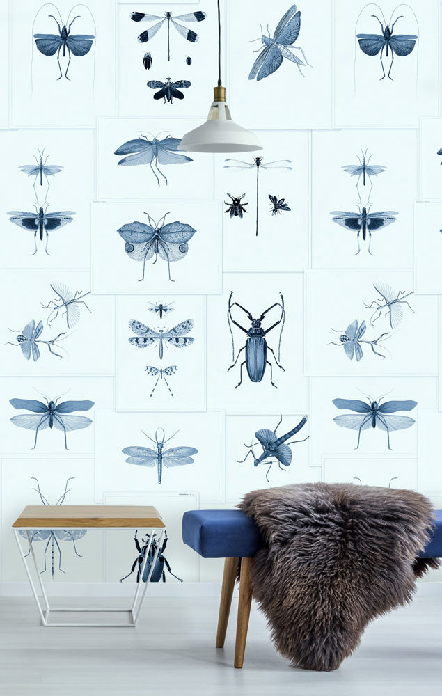 MINDTHEGAP /  ENTOMOLOGY Blue WP20235