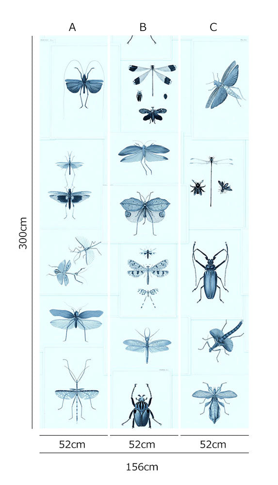 MINDTHEGAP /  ENTOMOLOGY Blue WP20235