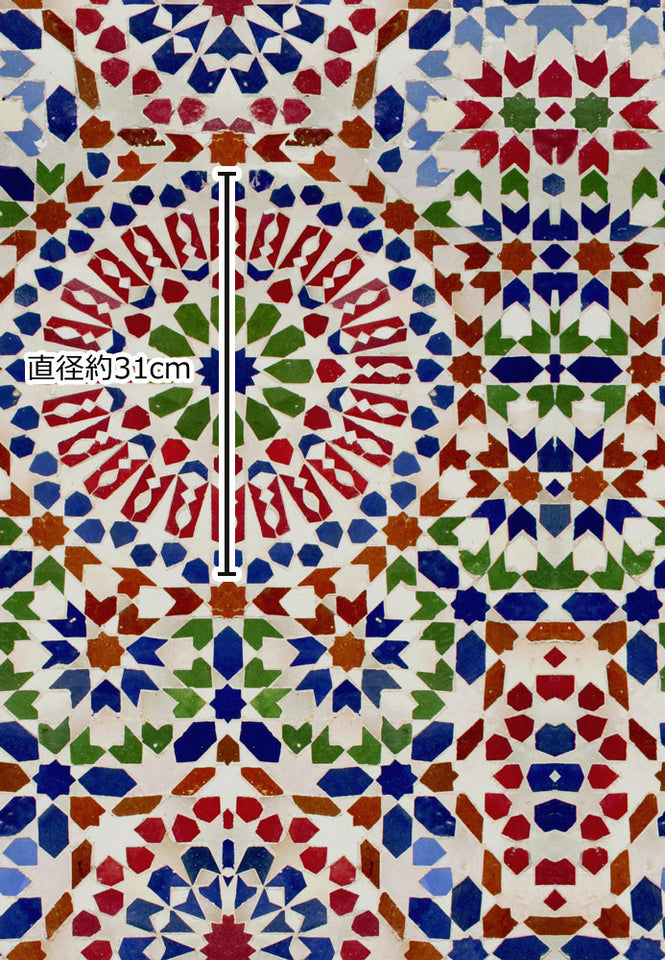 MINDTHEGAP /  MOSAIC WP20263