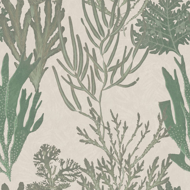 MINDTHEGAP / LIGHT CORALS WP20300
