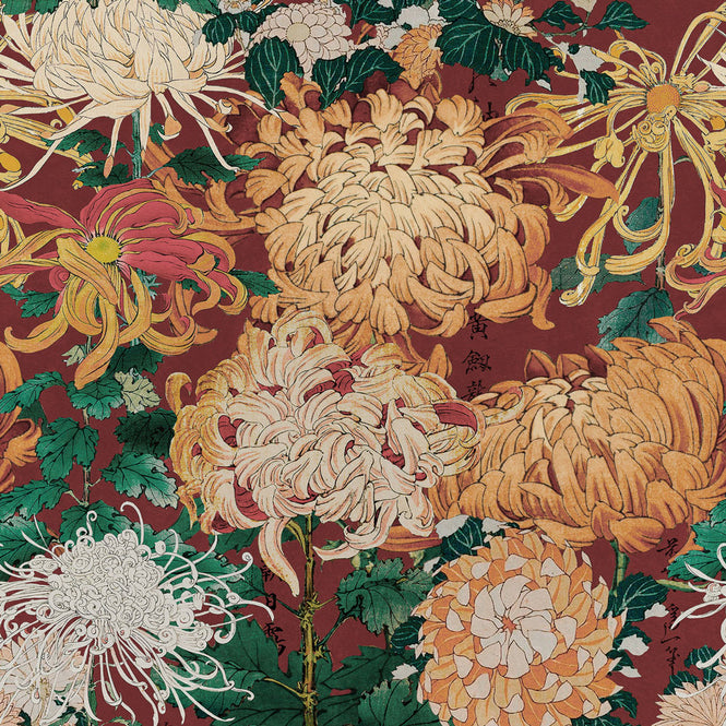 MINDTHEGAP / CHRYSANTHEMUMS WP20320