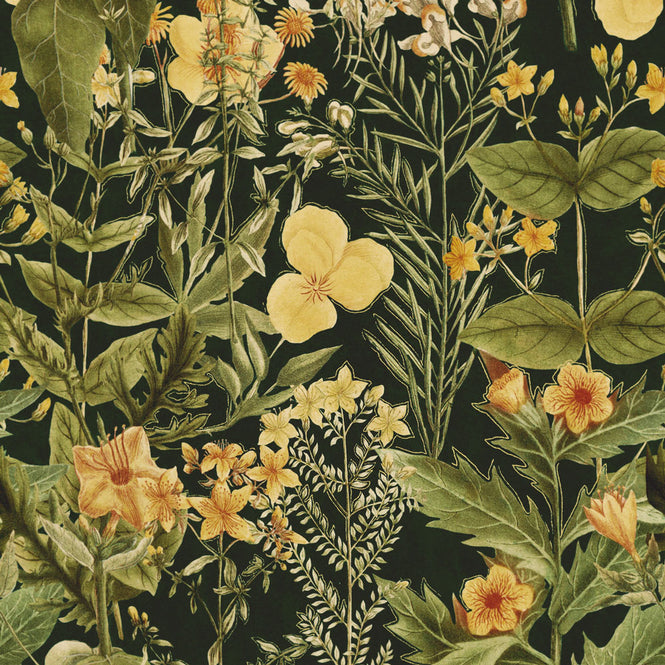 MINDTHEGAP / MIMULUS Anthracite WP20322