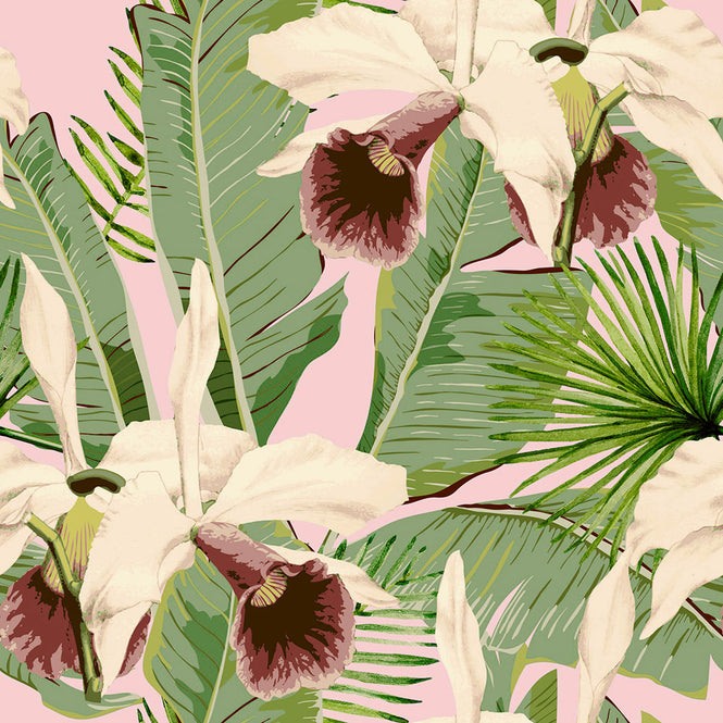 MINDTHEGAP / TREASURE ISLAND Pink WP20365