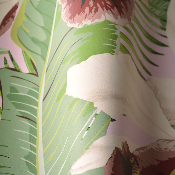 MINDTHEGAP / TREASURE ISLAND Pink WP20365