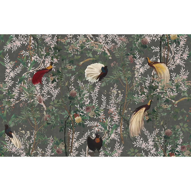 MINDTHEGAP / THE TRANSYLVANIAN MANOR / ROYAL GARDEN Grey WP20456