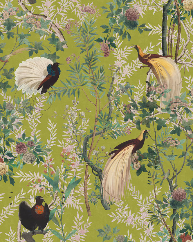 MINDTHEGAP / THE TRANSYLVANIAN MANOR / ROYAL GARDEN Green WP20465