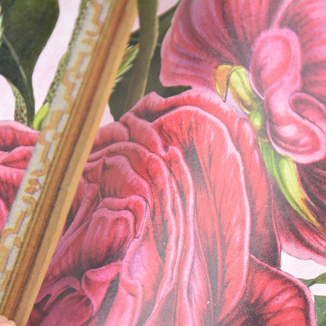 MINDTHEGAP / The Wallpaper Compendium / THE IMPERIAL FLORA WP20480